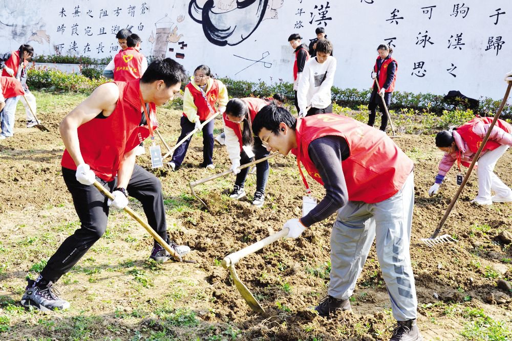 学生赴校外实践基地劳动
李小龙 摄