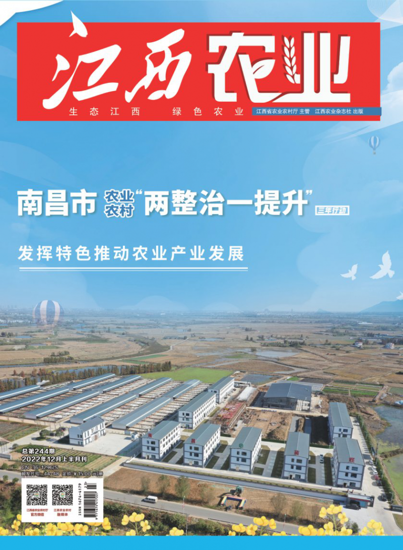 第244期