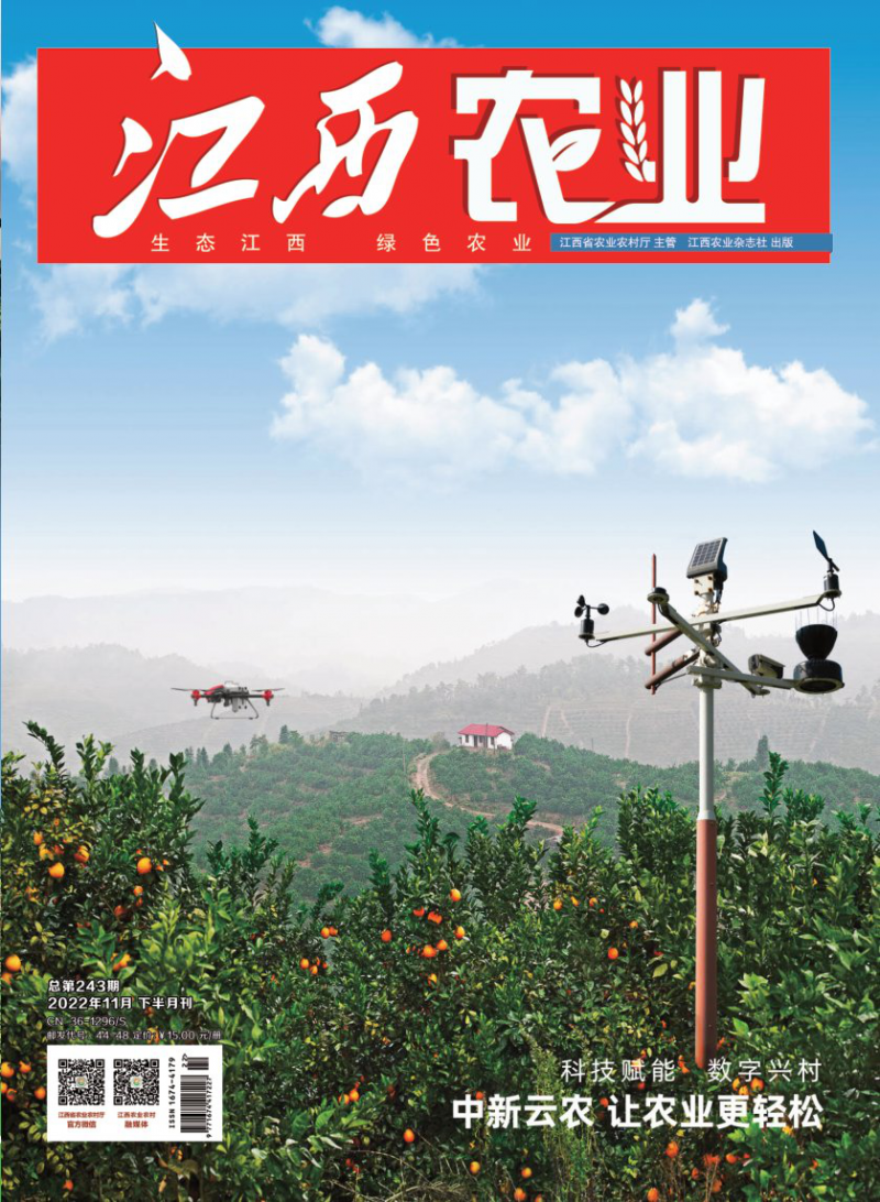 第243期