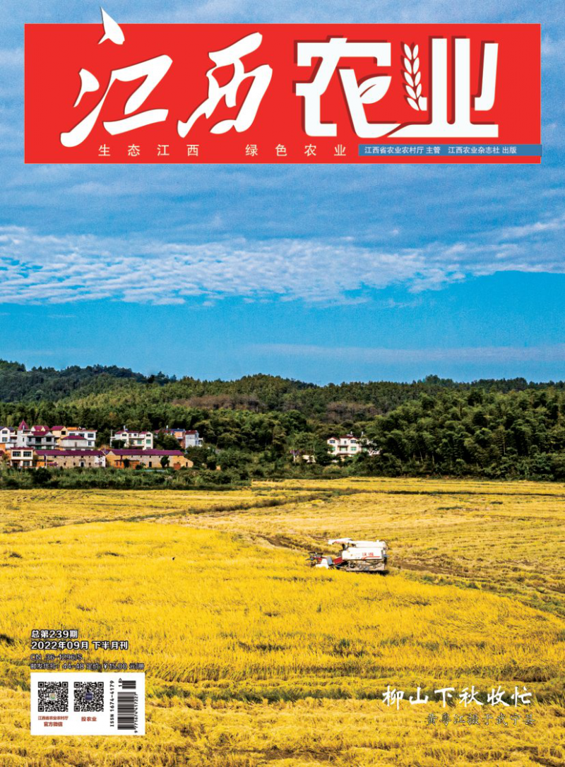 第239期