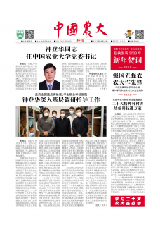 第513期