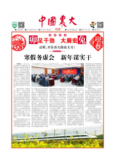 第514期