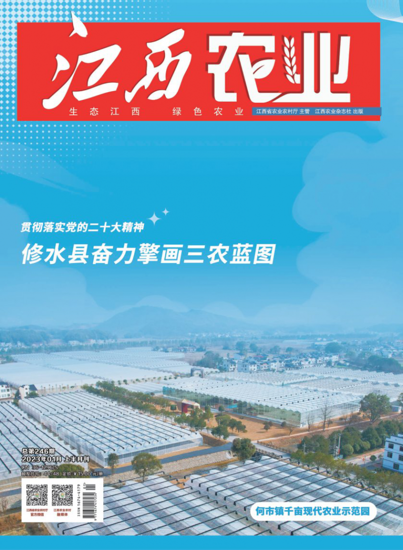 第246期