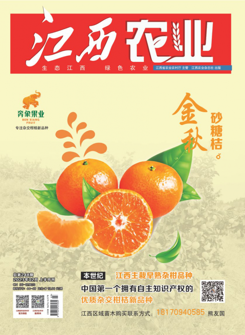 第248期