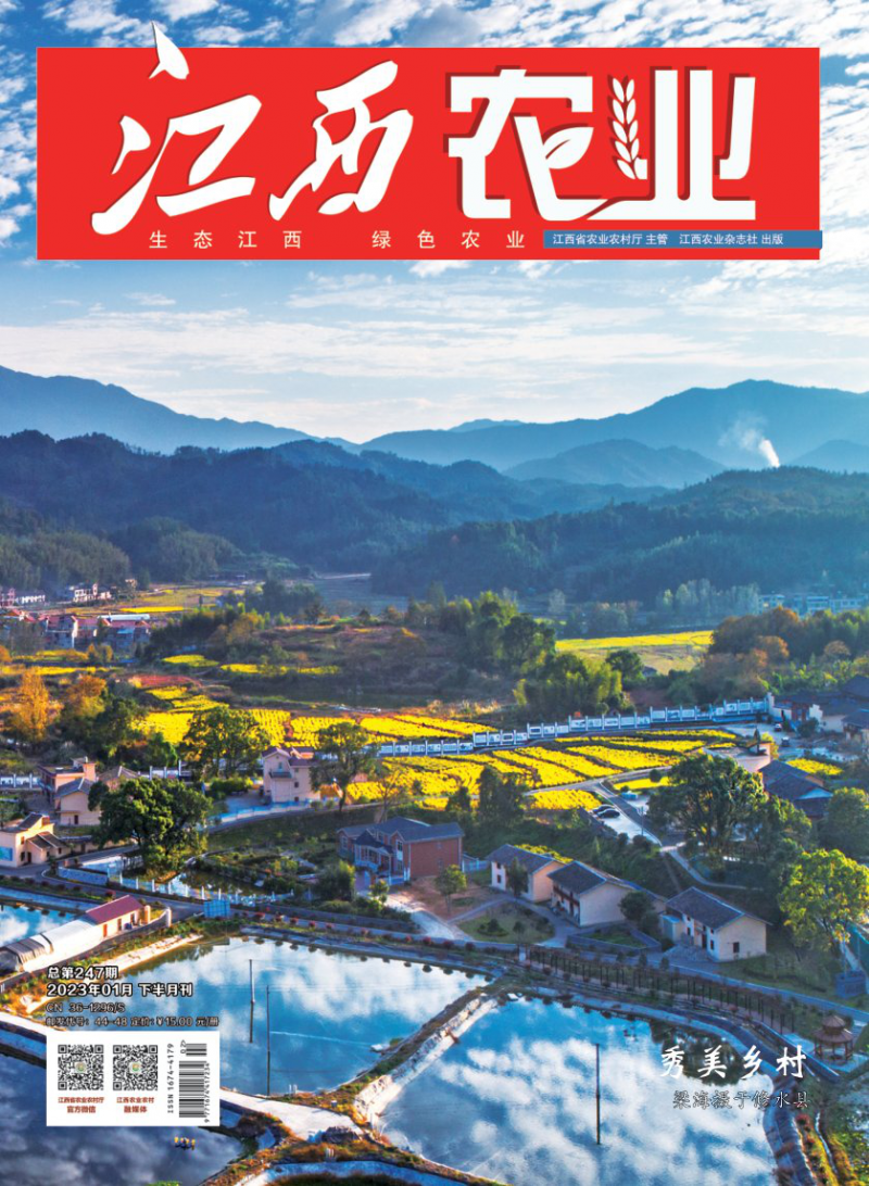 第247期