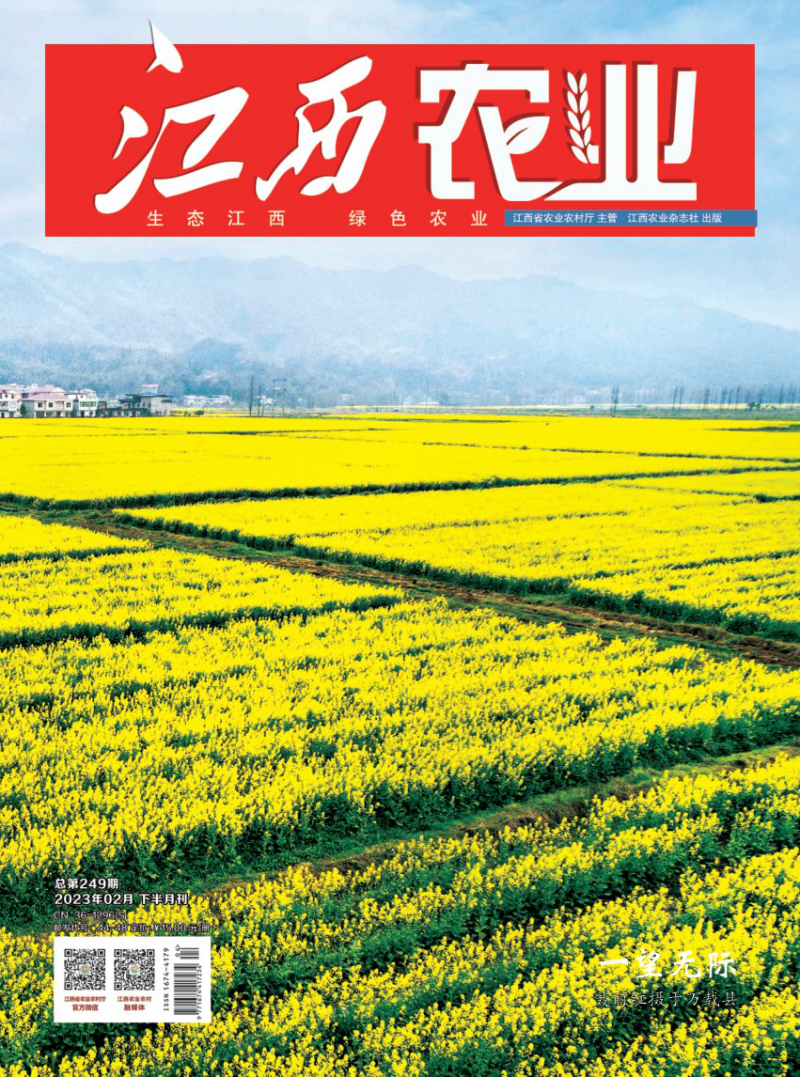 第247期