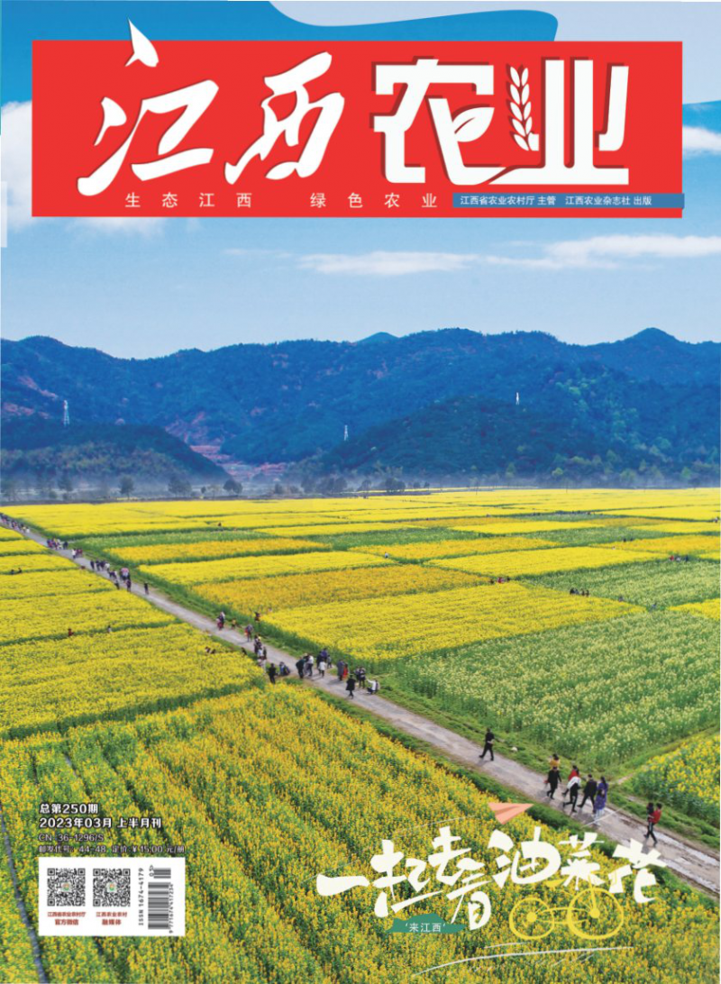 第250期