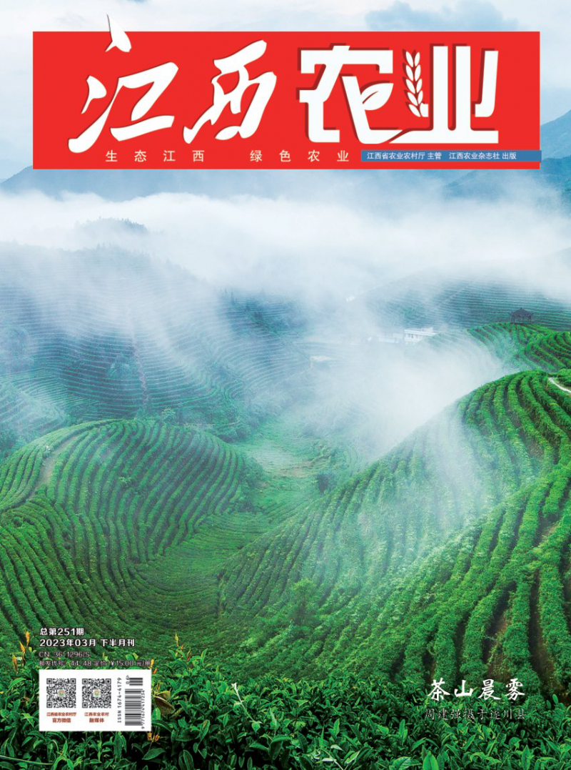 第251期