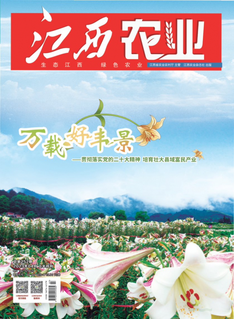 第252期