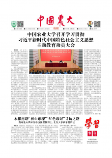 第519期