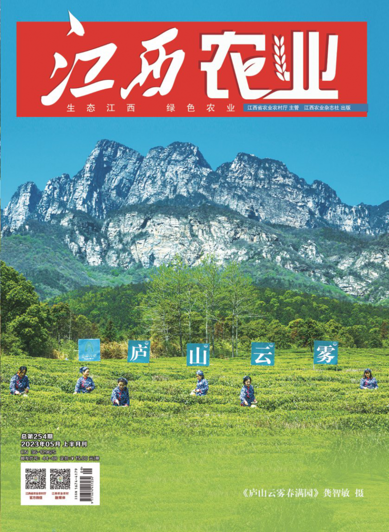 第254期