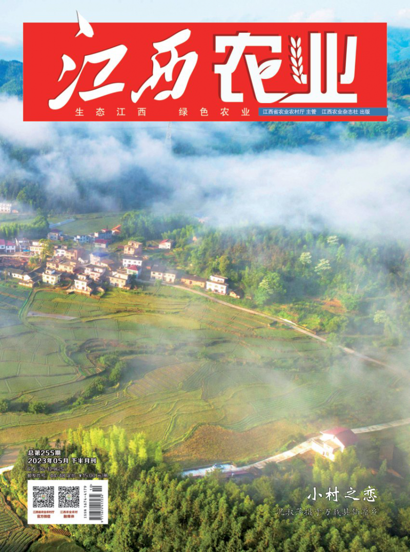 第255期