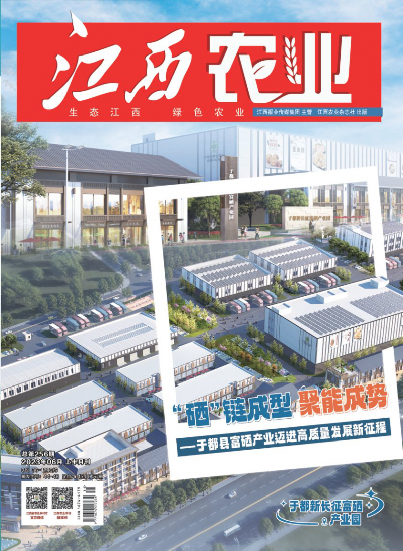 第256期