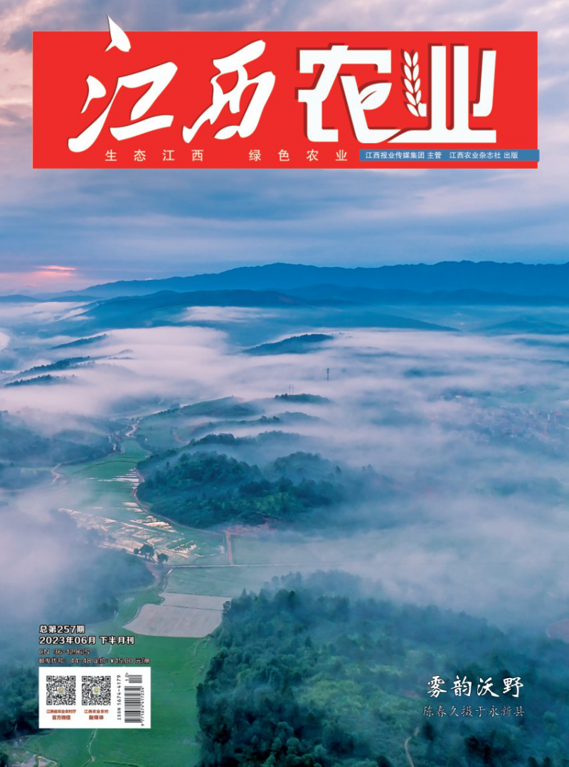 第257期